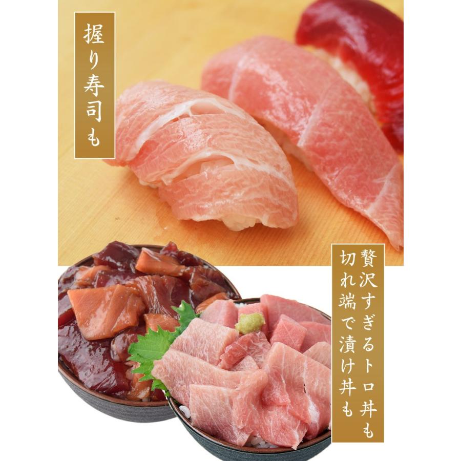 マグロ 鮪 まぐろ 天然南マグロ インドマグロ 大トロ 中トロ 赤身 合計1kg 鮨屋が使う上物をお届け 送料無料 冷凍 同梱不可 1z 豊洲からの直送便 ヤフー店 通販 Yahoo ショッピング