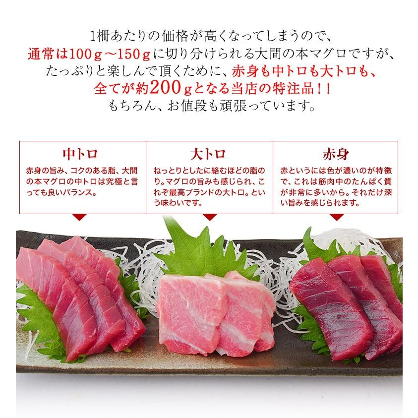 ≪送料無料≫“築地でマグロ1本買い!”青森県・大間の本マグロ 合計400g(中トロ・赤身 各200g) ※冷凍 sea ☆|tsukijiichiba|04