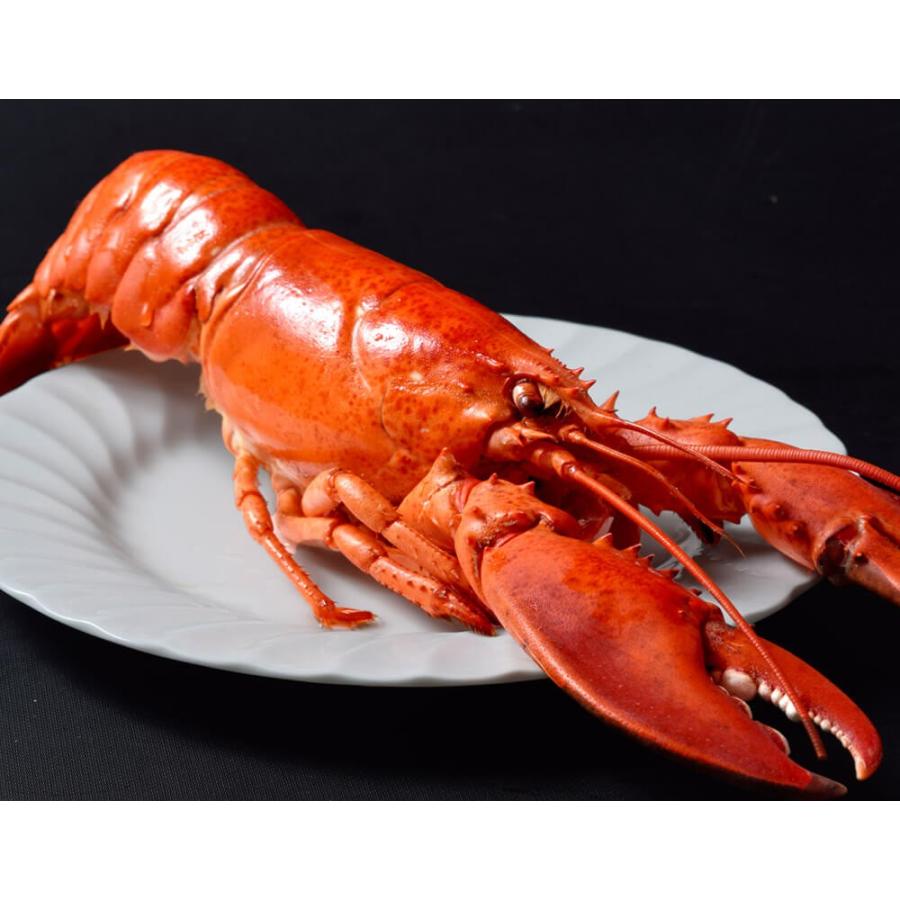 海老 エビ えび 天然オマールエビ ボイル済 特大２ｌサイズ 400 450g 冷凍 1z 豊洲からの直送便 ヤフー店 通販 Yahoo ショッピング