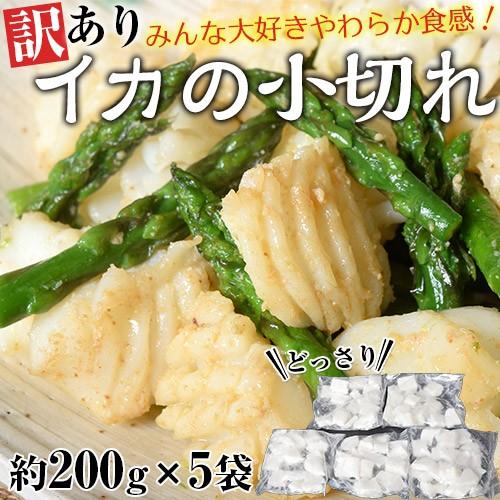 訳あり イカの小切れ アカイカ端材 切り落とし 1キロ 0g 5袋 冷凍 Sea 1z101 豊洲からの直送便 ヤフー店 通販 Yahoo ショッピング