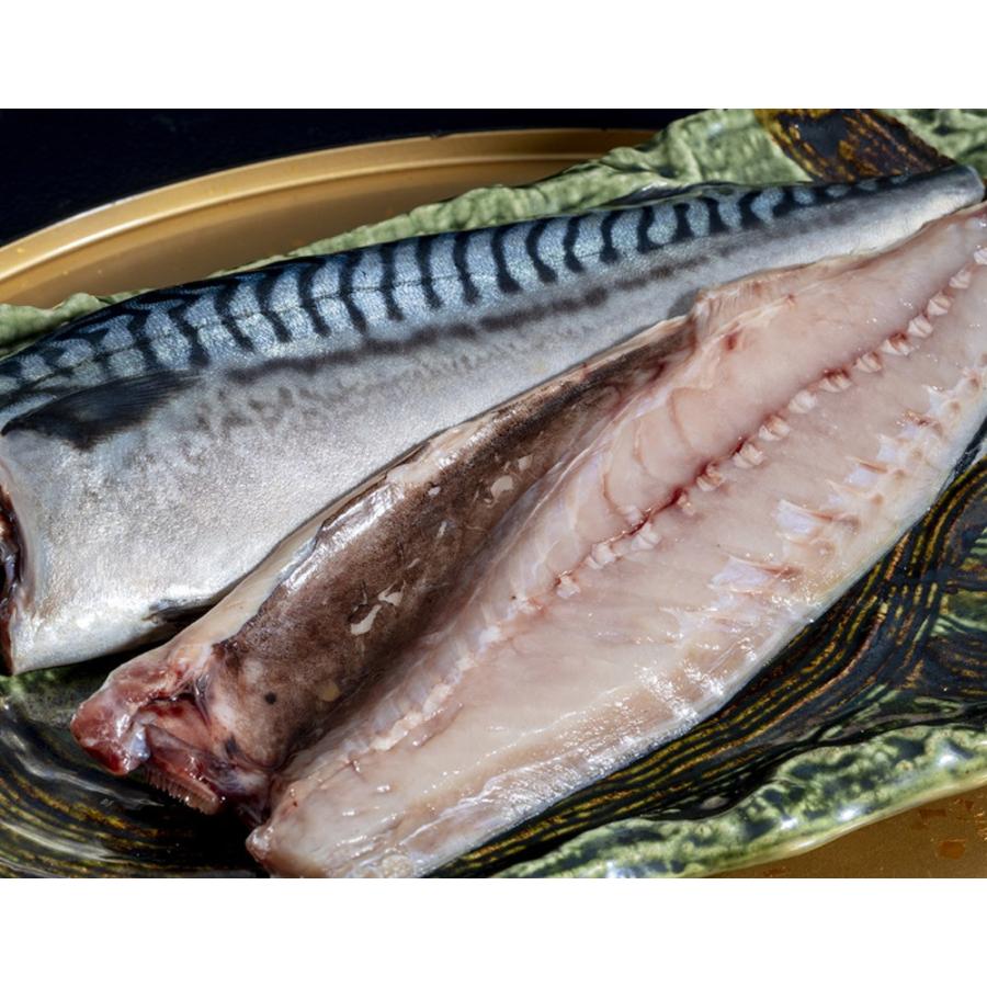 ものすごいサバ さば 越田商店 鯖の文化干し ノルウェー鯖使用 大サイズ 約0g 5枚セット 冷凍 1z 豊洲からの直送便 ヤフー店 通販 Yahoo ショッピング