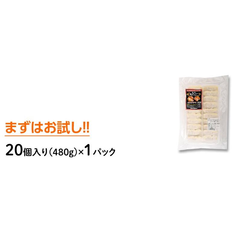 餃子 ぎょうざ 美ら島あぐー豚100％使用 あぐー豚の餃子　20個入り（480g） 贈り物 おつまみ お弁当 おかず 冷凍食品 冷凍同梱可能｜tsukijiichiba｜03