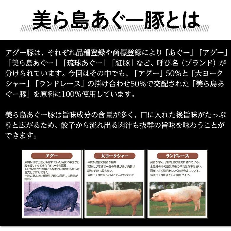 餃子 ぎょうざ 美ら島あぐー豚100％使用 あぐー豚の餃子　20個入り（480g） 贈り物 おつまみ お弁当 おかず 冷凍食品 冷凍同梱可能｜tsukijiichiba｜05