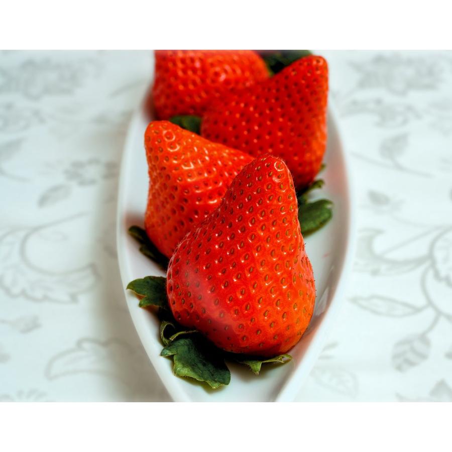 いちご イチゴ 苺 京都府 渋谷農園の 京の雫 約270g 2パック 送料無料 冷蔵 1z198 豊洲からの直送便 ヤフー店 通販 Yahoo ショッピング