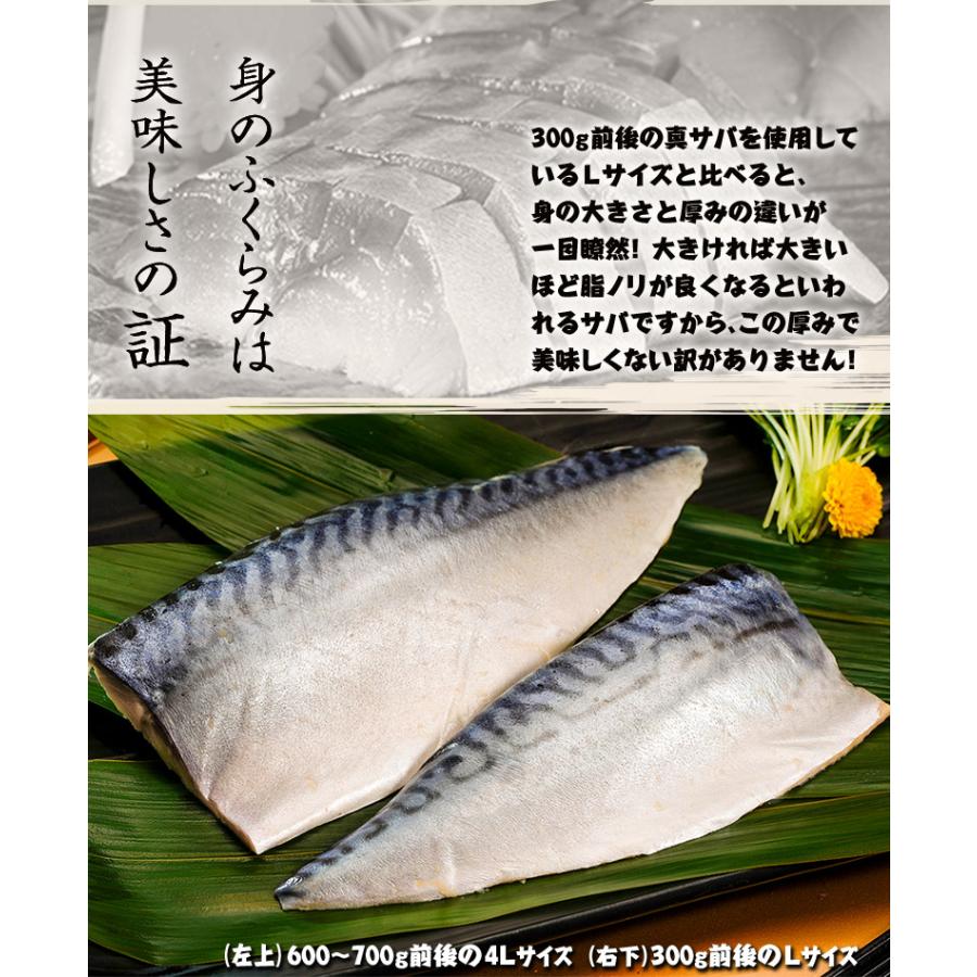賞味間近 さば サバ 鯖 国産真サバ使用 鮨屋のしめさば 4lサイズ 半身1枚 3p 冷凍 送料無料 1z 豊洲からの直送便 ヤフー店 通販 Yahoo ショッピング