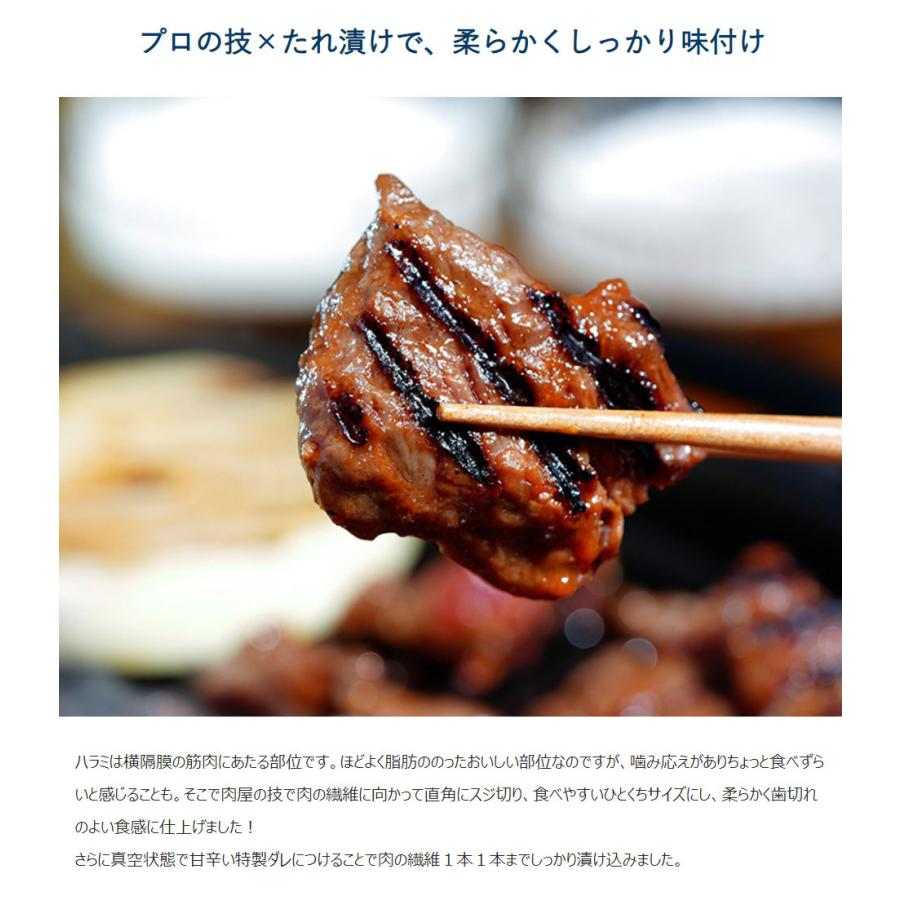 『たれ漬け牛ハラミ　焼肉用』オーストラリア産　500ｇ×2P※冷凍 送料無料｜tsukijiichiba｜05