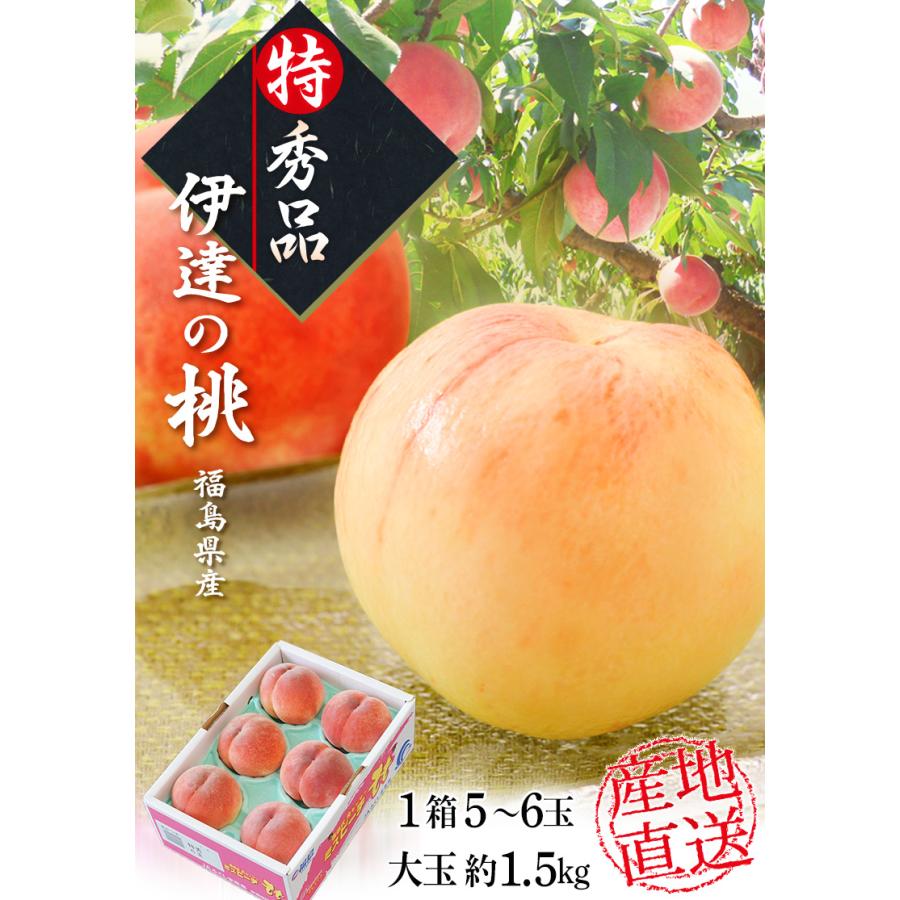 JAふくしま未来 福島県産 「伊達の桃」 特秀品 大玉 約1.5kg 1箱：5〜6玉 ※常温 送料無料 ふくしまプライド。体感キャンペーン（果物/野菜）｜tsukijiichiba｜02