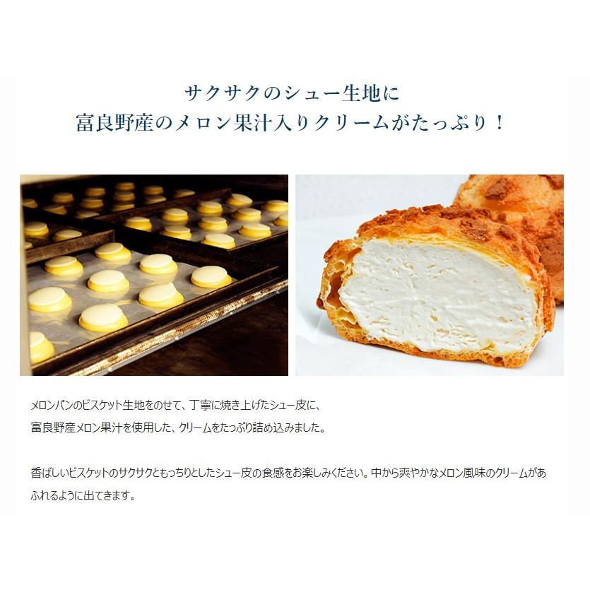北海道 富良野メロンパンシュー 5パック 計10個 （1P 2個入り） ※冷凍
