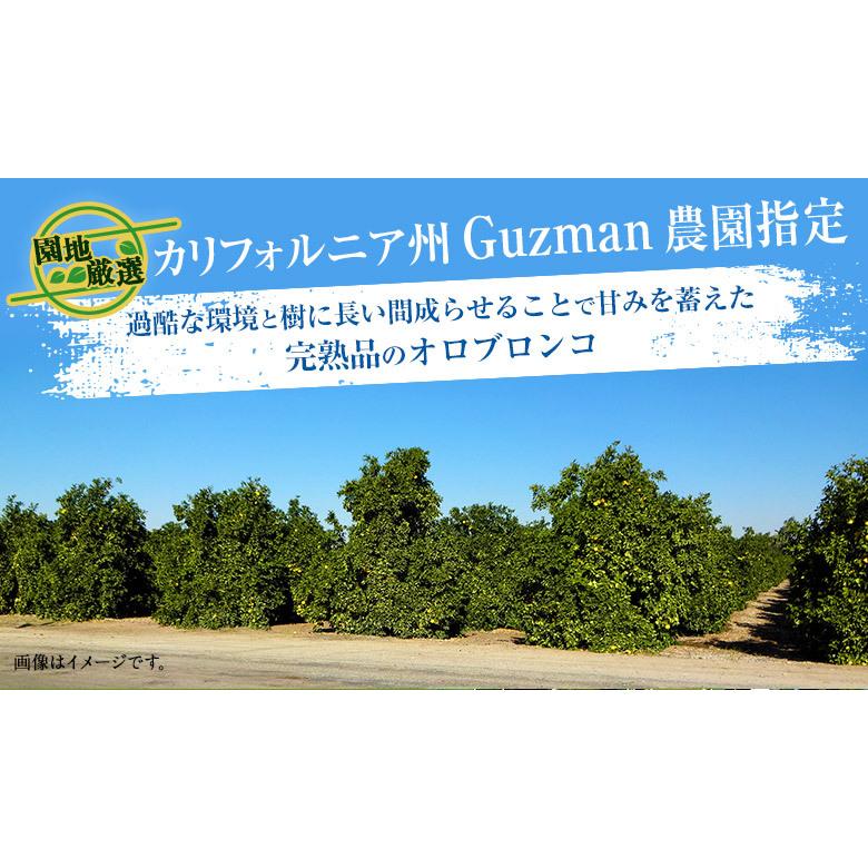 Guzman農園 樹上完熟 オロブロンコ アメリカ カリフォルニア産 柑橘 約3kg（目安として：7〜10玉）簡易箱 多少の傷・スレ等あり ※常温　送料無料｜tsukijiichiba｜05