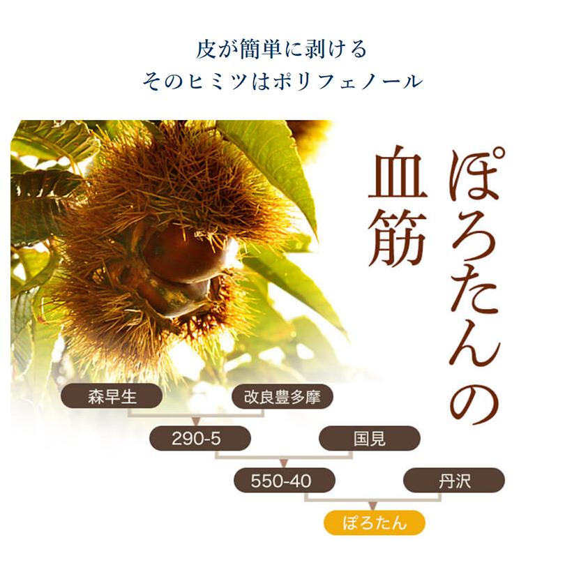 カード・又は代引き限定】低温熟成栗 ぽろたん 大粒 3〜4Lサイズ 約1kg