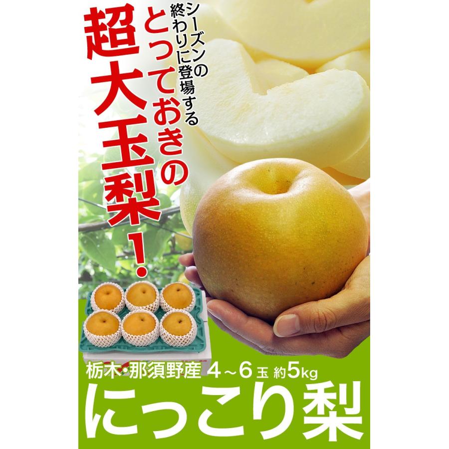 梨 なし 栃木県産 にっこり梨 約5kg 超大玉4〜6玉 秀〜優品 送料無料 常温｜tsukijiichiba｜02