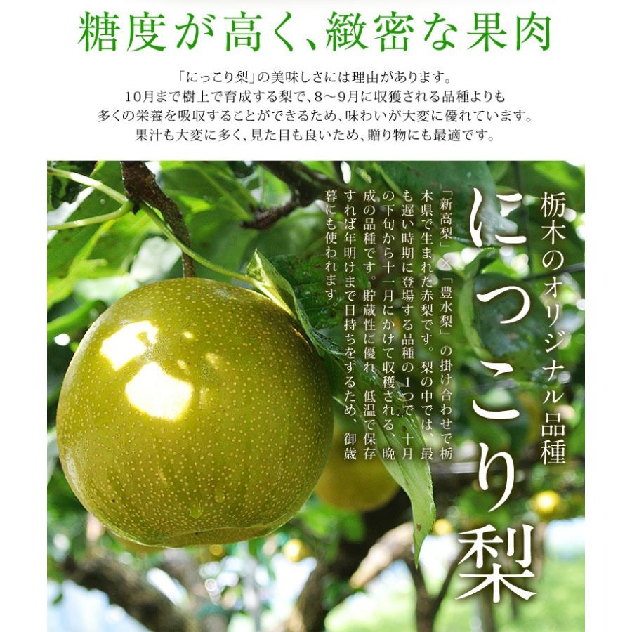 梨 なし 栃木県産 にっこり梨 約5kg 超大玉4〜6玉 秀〜優品 送料無料 常温｜tsukijiichiba｜05