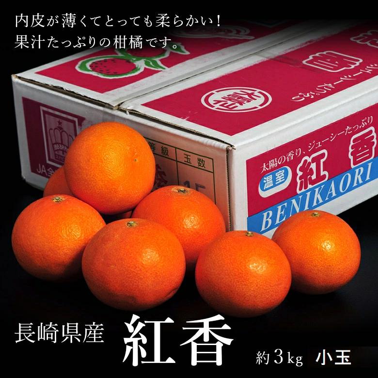 小玉『紅香（べにかおり）品種：天草』長崎県産柑橘 約3kg（15〜21玉