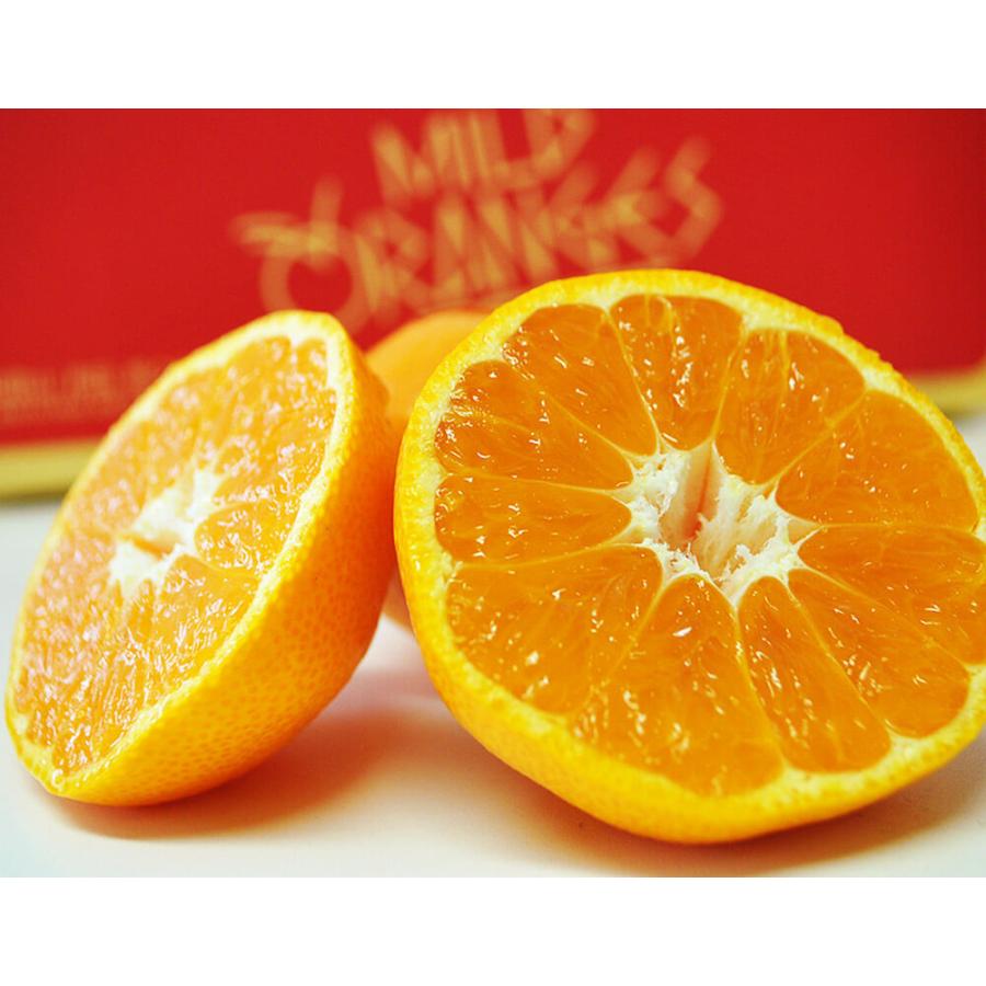 みかん 葵クラブ 和歌山 有田産 特選品 1箱 風袋込 約3kg 手詰め 2lサイズ 常温 3a 豊洲からの直送便 ヤフー店 通販 Yahoo ショッピング