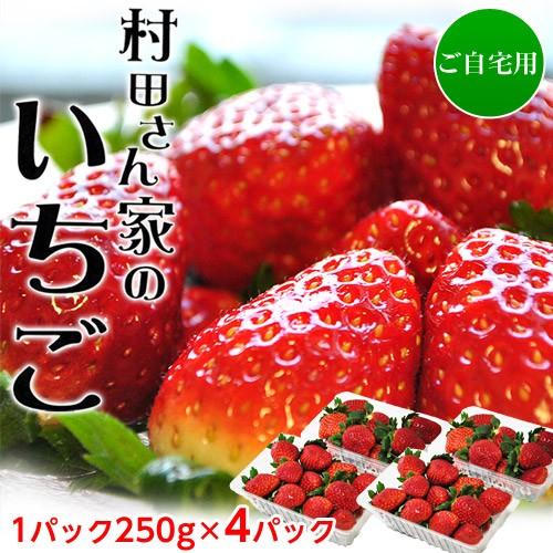 村田さん家のいちご とちおとめ 茨城県産 4パック （1パック 約250g