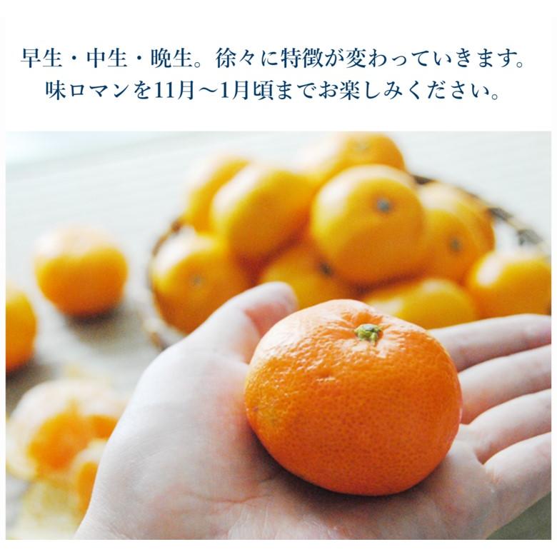 糖度12度以上 味ロマン 長崎県産みかん S〜L 約2.5kg×2箱 産地箱 外皮