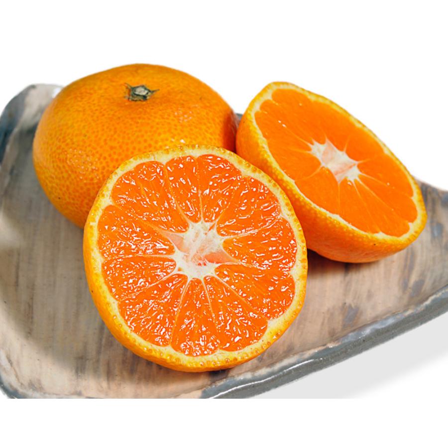 糖度12度選別 極甘みかん Ja長崎せいひ 味ロマン 約2 5kg 2s M 2箱 長崎県産 多少のキズ有 常温 送料無料 3a 1 豊洲からの直送便 ヤフー店 通販 Yahoo ショッピング