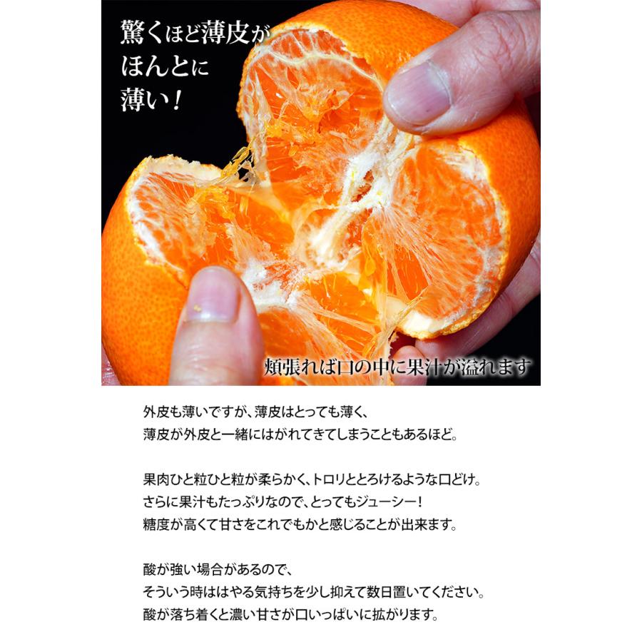 カード・代引限定】JA長崎せいひ せとか 長崎県産 柑橘 S〜L 約 カード・代引限定】JA長崎せいひ せとか 長崎県産 柑橘 S〜L 約