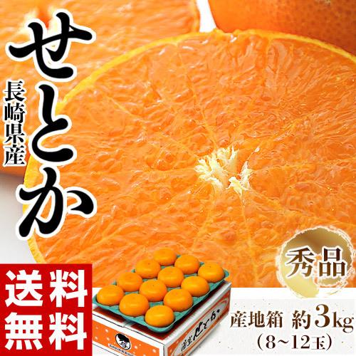 大玉 せとか 長崎県産 柑橘 3〜4L 約3kg（8〜10玉）産地箱 ※常温 JA