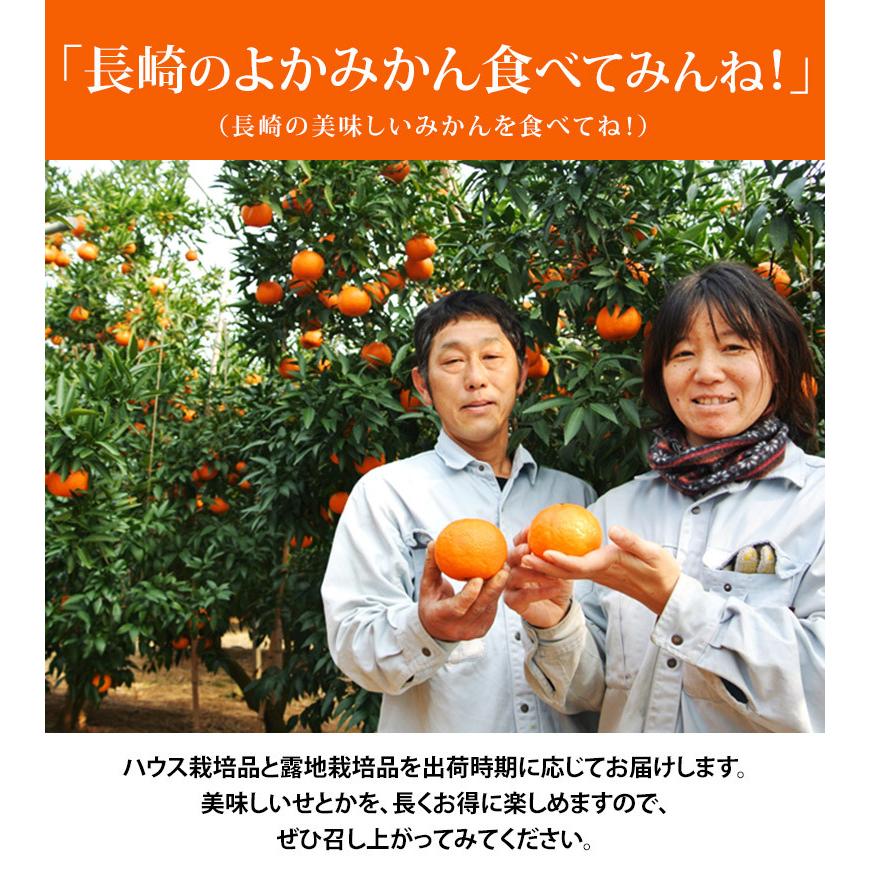 大玉 せとか 長崎県産 柑橘 3〜4L 約3kg（8〜10玉）産地箱 ※常温 JA