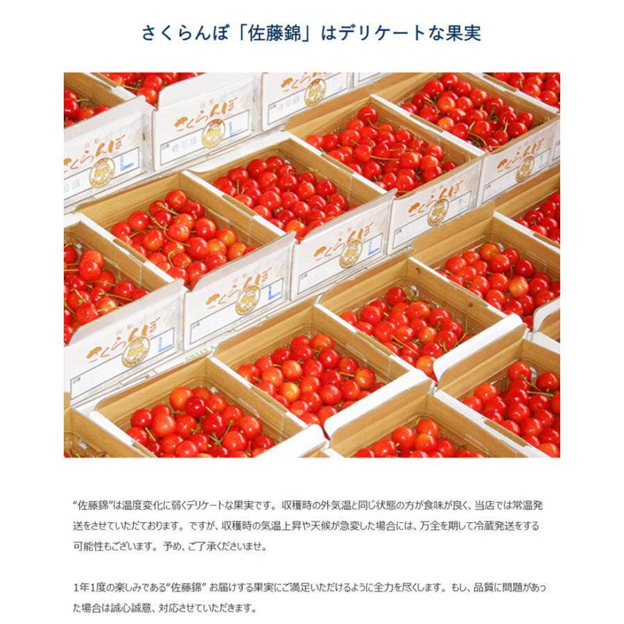 さくらんぼ 佐藤錦 山形県産 秀品 大粒lサイズ 約700g 約350ｇ 2p 産地直送 常温 送料無料 3a024 1 豊洲からの直送便 ヤフー店 通販 Yahoo ショッピング