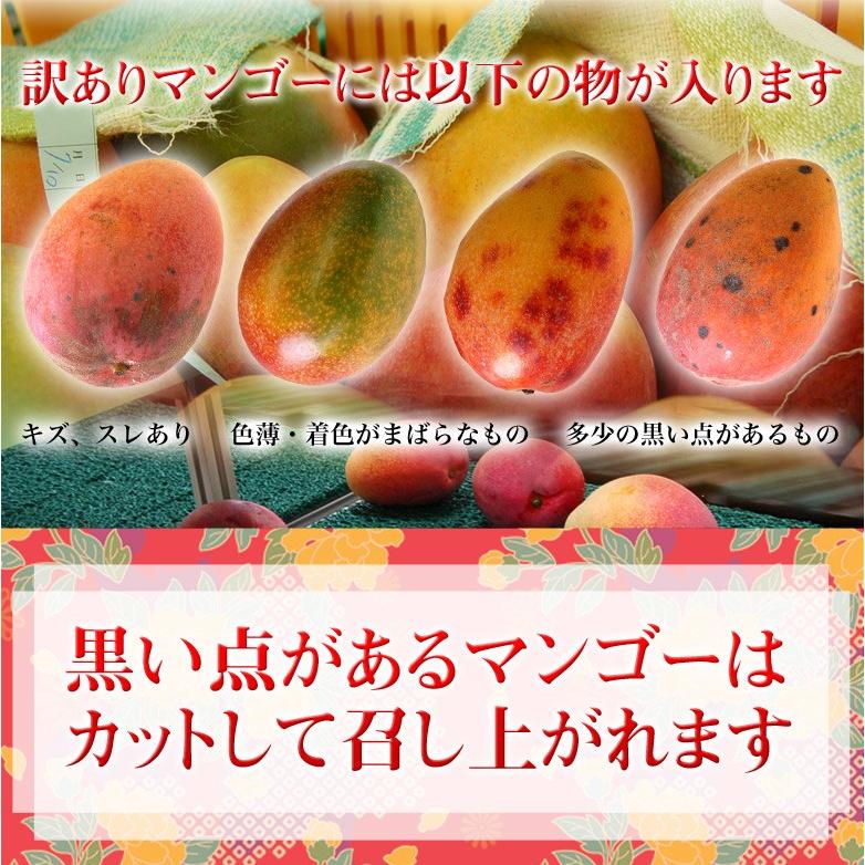 ご自宅用 訳あり 沖縄マンゴー 沖縄県産 約1.5kg（3〜6玉）産地