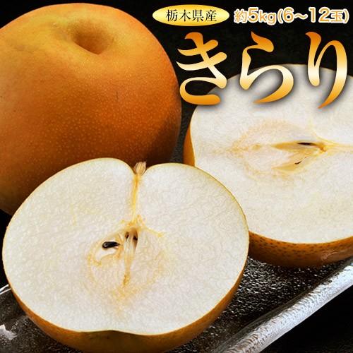 115.特売栃木県産採りたてみずみずしい小玉梨なし箱込み約10kg訳あり家庭用 梨 なし 栃木県産 きらり梨 約5kg (6〜12玉) 送料無料 : 豊洲からの