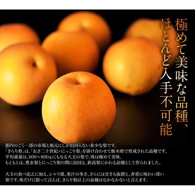 梨 なし 栃木県産 きらり梨 約5kg (6〜12玉) 送料無料 : 豊洲からの