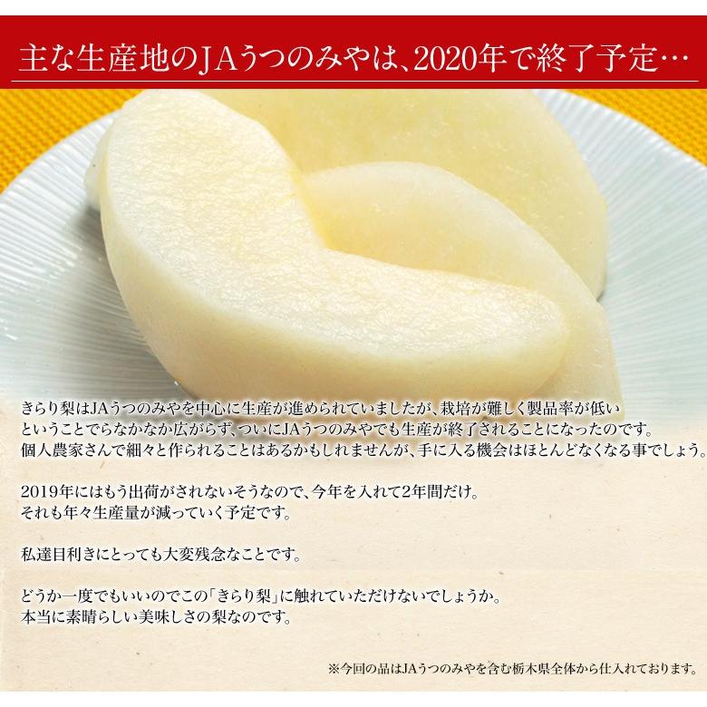 梨 なし 栃木県産 きらり梨 約5kg (6〜12玉) 送料無料 : 豊洲からの