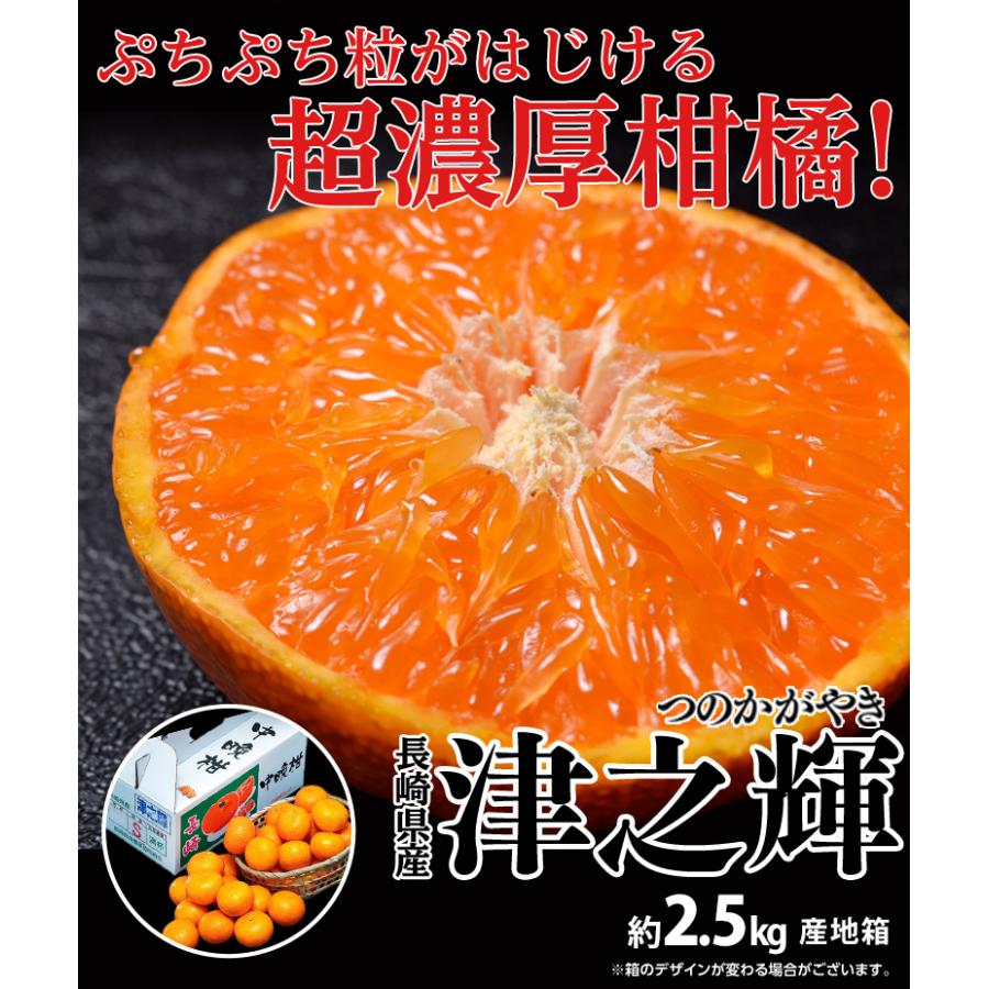 JA長崎せいひ『津之輝(つのかがやき)』長崎県産柑橘 2S〜L 約 JA長崎せいひ『津之輝(つのかがやき)』長崎県産柑橘 2S〜L 約