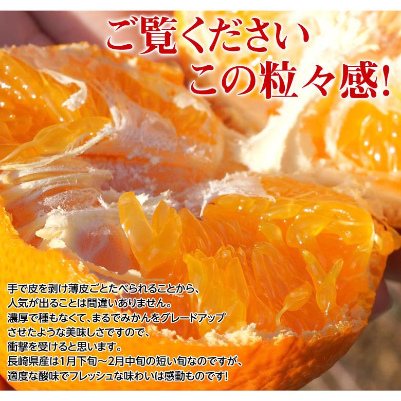 津之輝 （つのかがやき） 長崎県産柑橘 2S〜L 約2.5kg 産地箱 ※常温 JA