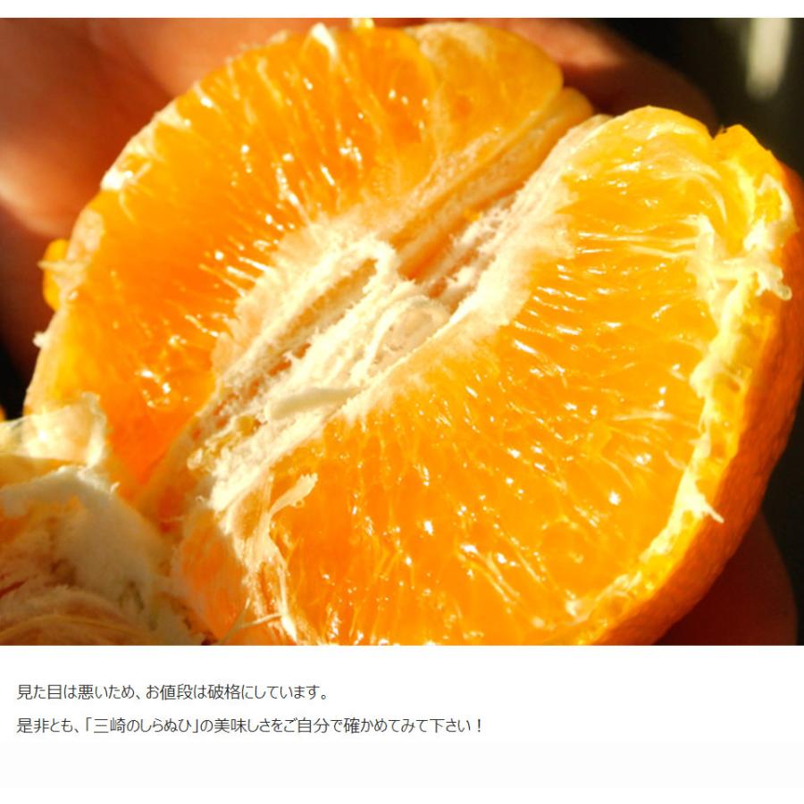カード・代引限定】無地箱でお届け 訳あり 不知火 しらぬひ JAにしうわ