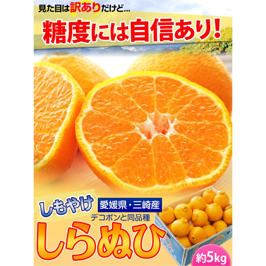 カード・代引限定】無地箱でお届け 訳あり 不知火 しらぬひ JAにしうわ