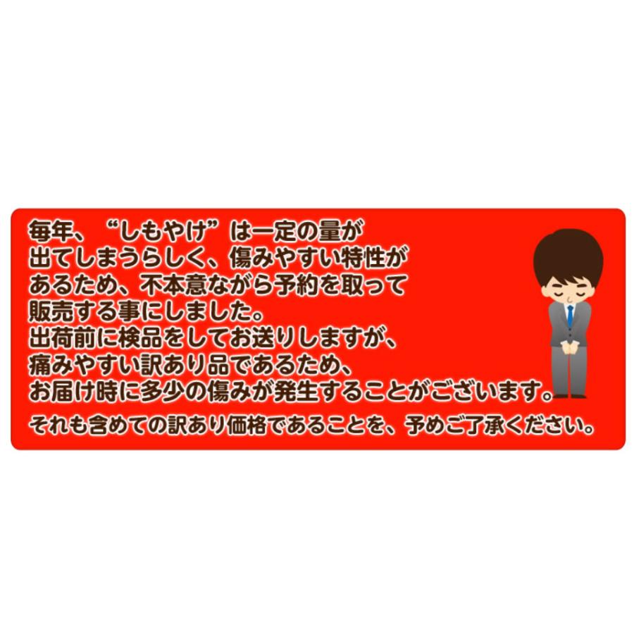 カード・代引限定】無地箱でお届け 訳あり 不知火 しらぬひ JAにしうわ