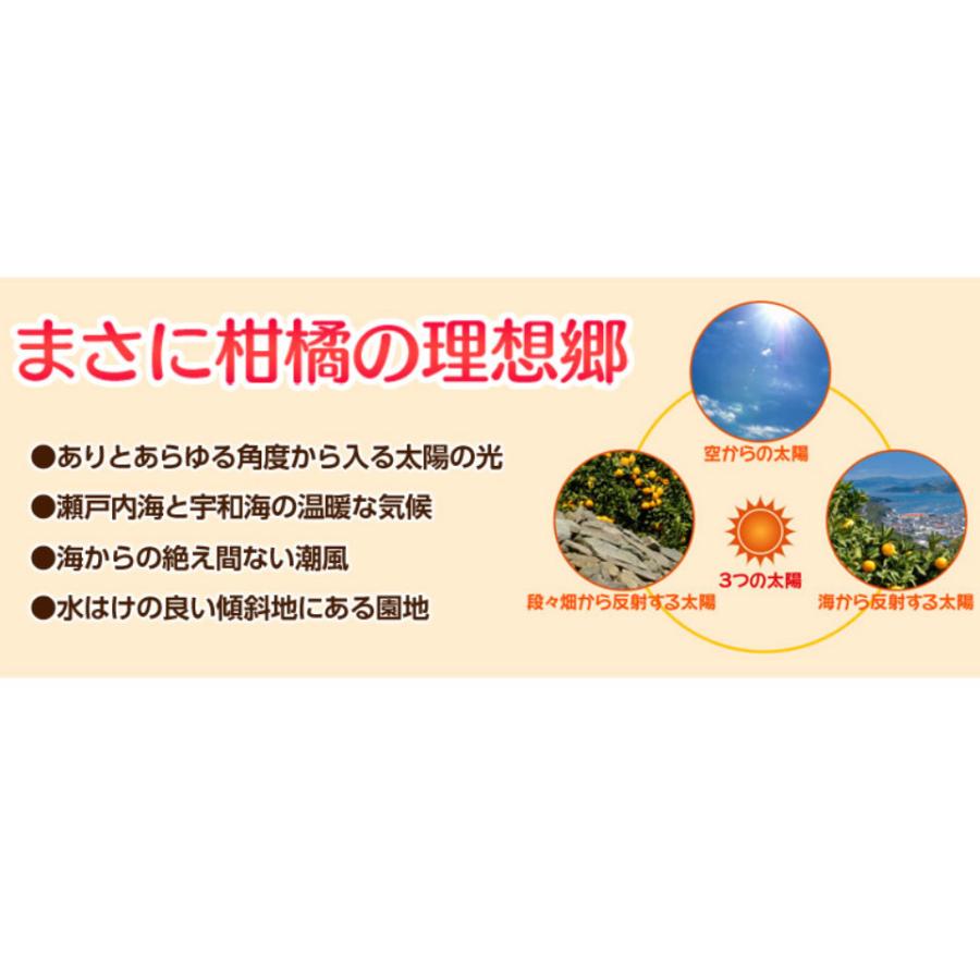 カード・代引限定】無地箱でお届け 訳あり 不知火 しらぬひ JAにしうわ