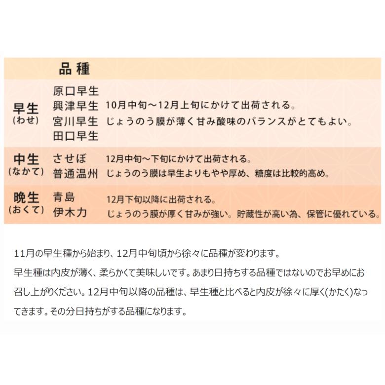 【カード又は代引き限定】みかん 味ロマン 糖度12度選別 JA長崎せいひ 約2.5kg 外皮に傷あり (11月出荷：2S-M、12月出荷：S-L) ※常温　送料無料 長崎県｜tsukijiichiba｜12