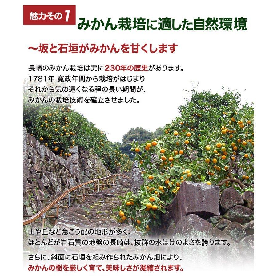 【カード又は代引き限定】みかん 味ロマン 糖度12度選別 JA長崎せいひ 約2.5kg 外皮に傷あり (11月出荷：2S-M、12月出荷：S-L) ※常温　送料無料 長崎県｜tsukijiichiba｜06