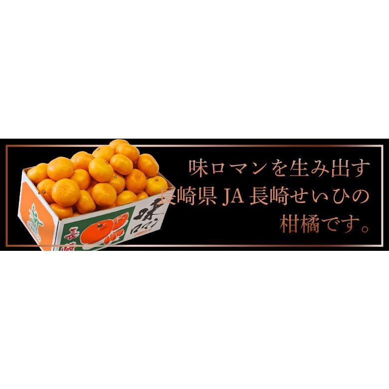 柑橘 みかん 長崎県産 せとか ＆麗紅 セット 合計約5kg (約2.5kg×2箱） 送料無料｜tsukijiichiba｜02