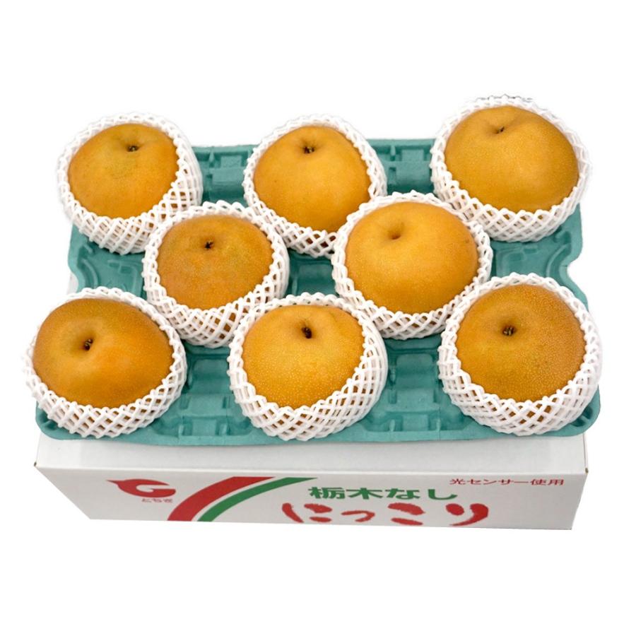 にっこり梨 栃木県産 JAなすの 約5kg 大玉 5〜10玉 優〜秀品 ※常温