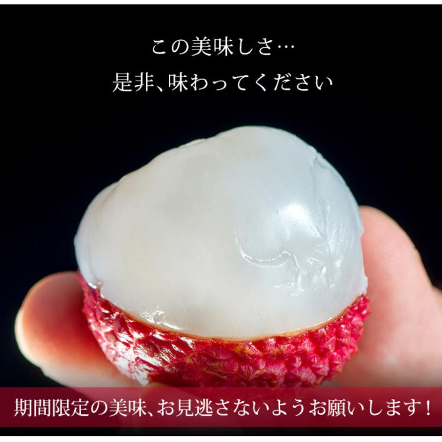 みやざき生ライチ 宮崎県産 約420g（9〜15玉）化粧箱 ※冷蔵 送料無料