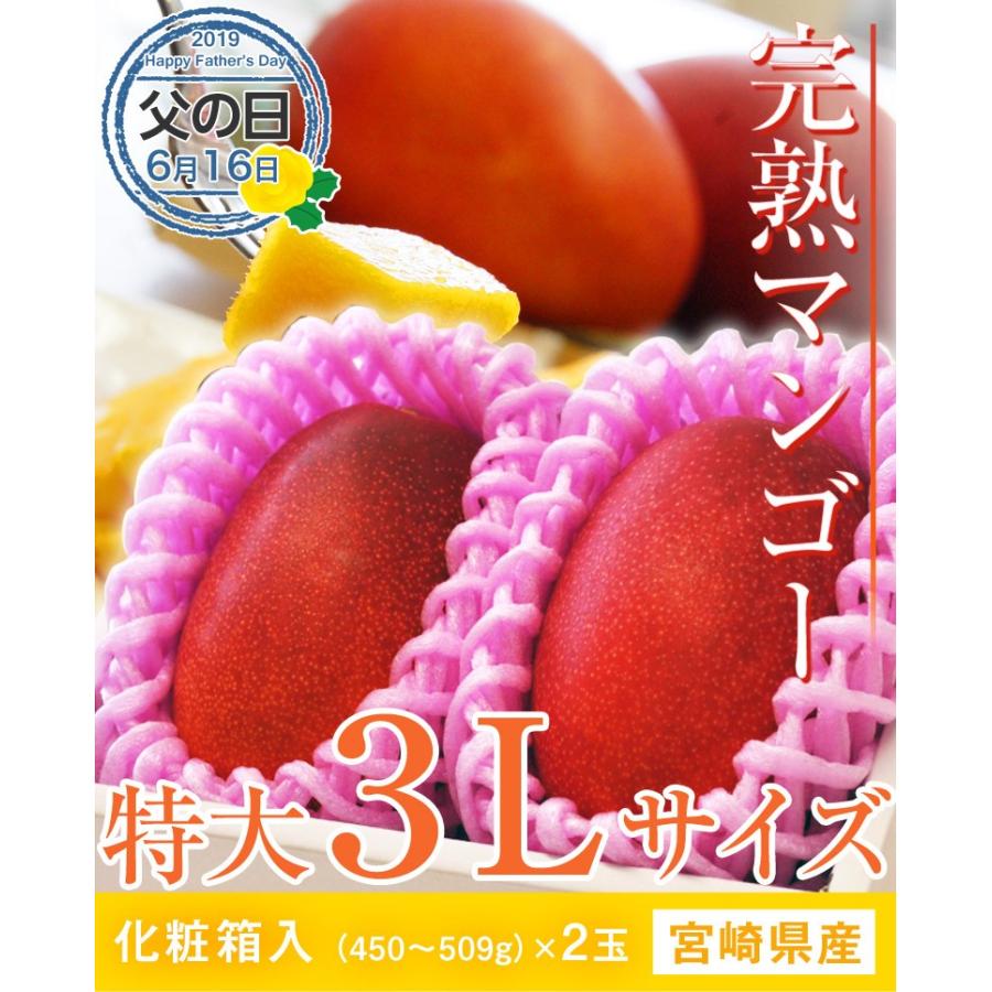 父の日 プレゼント ギフト 宮崎県産 完熟 マンゴー 3Lサイズ（450〜509g)×2玉 化粧箱入り 送料無料｜tsukijiichiba｜06