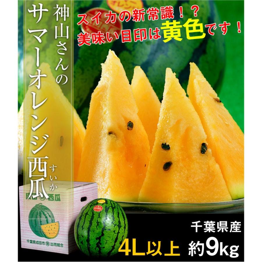 すいか スイカ 千葉県成田産 丸駒出荷組合 神山さんのサマー すいか スイカ 千葉県成田産 丸駒出荷組合 神山さんのサマー