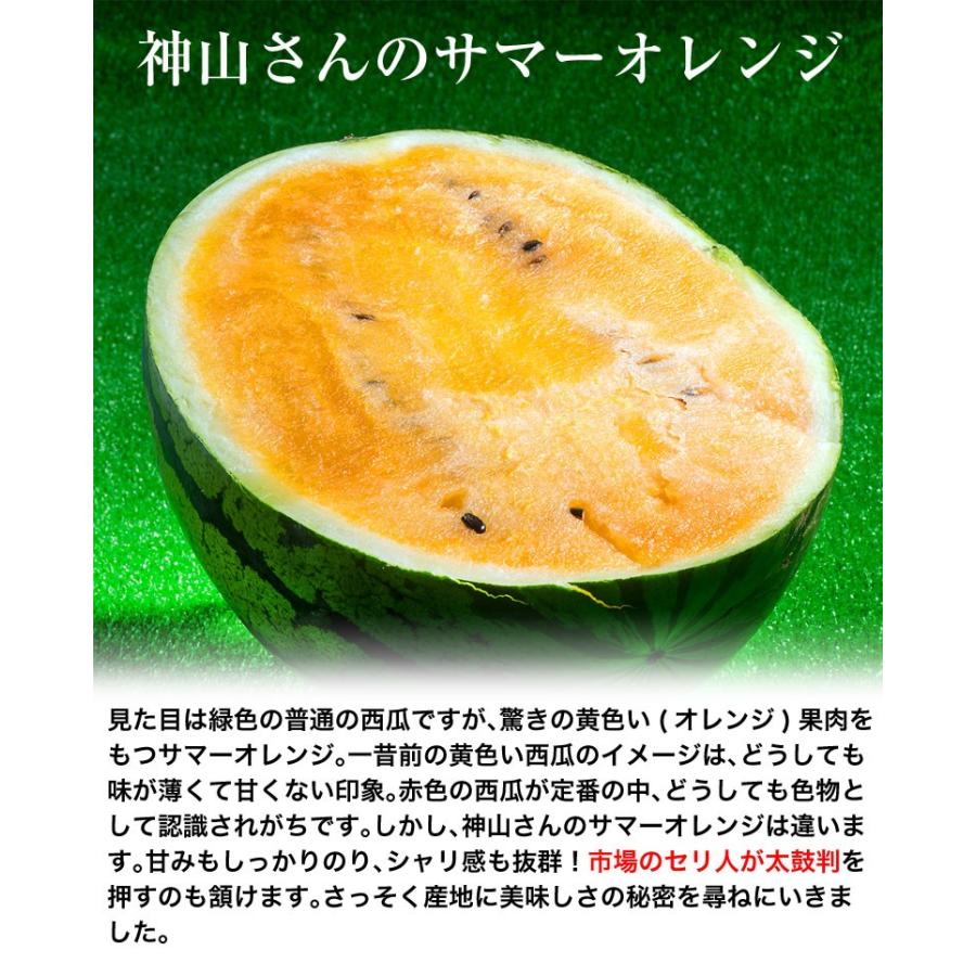 すいか スイカ 千葉県成田産 丸駒出荷組合 神山さんのサマー すいか スイカ 千葉県成田産 丸駒出荷組合 神山さんのサマー