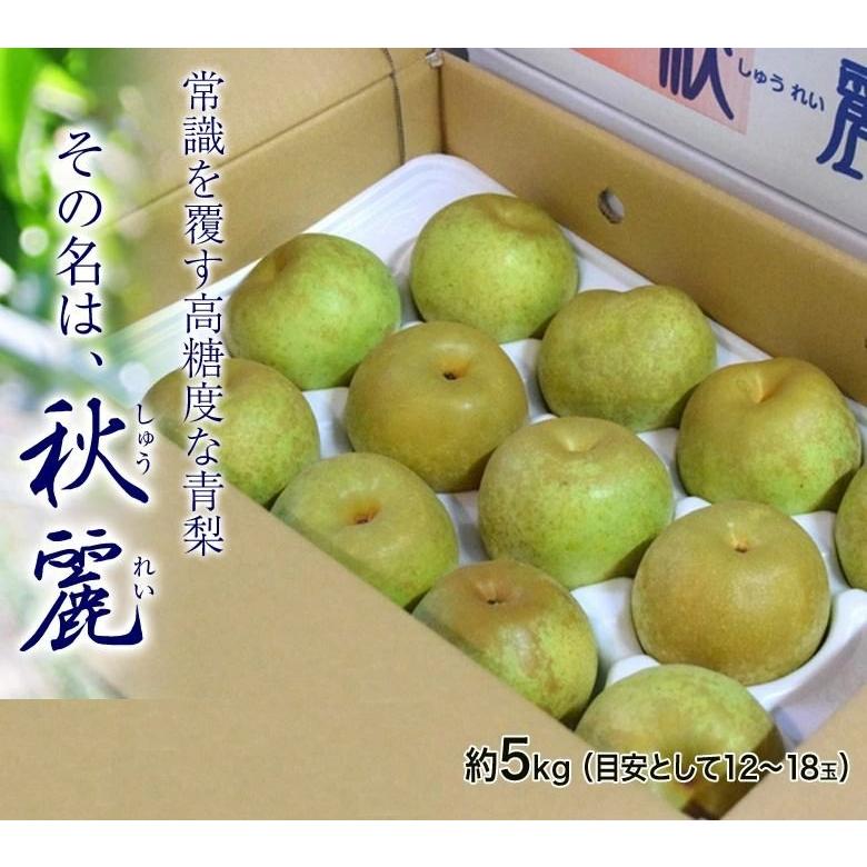 miffy　贈答用5キロ2箱　秋麗梨 秋麗梨 熊本県産 風袋込 約5kg （12〜20玉） 産地箱 ※冷蔵 送料無料