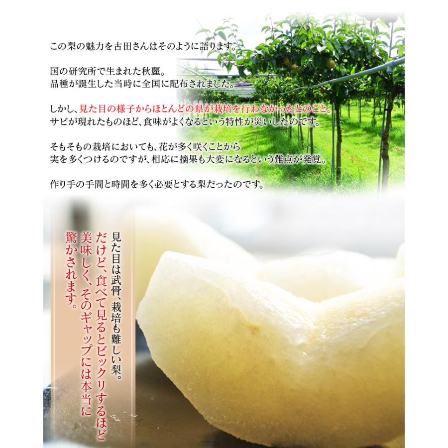 秋麗梨 熊本県産 風袋込 約5kg （12〜20玉） 産地箱 ※冷蔵 送料無料