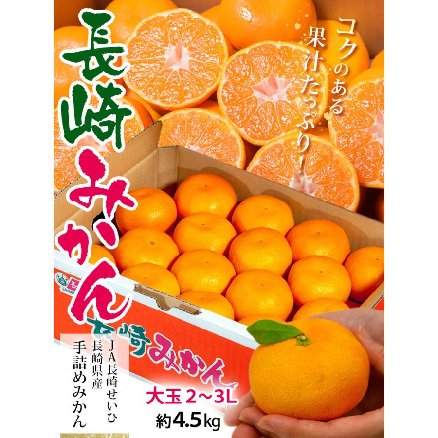 JA長崎せいひ『大玉手詰め 長崎みかん』 長崎県産柑橘 2〜3Lサイズ 約
