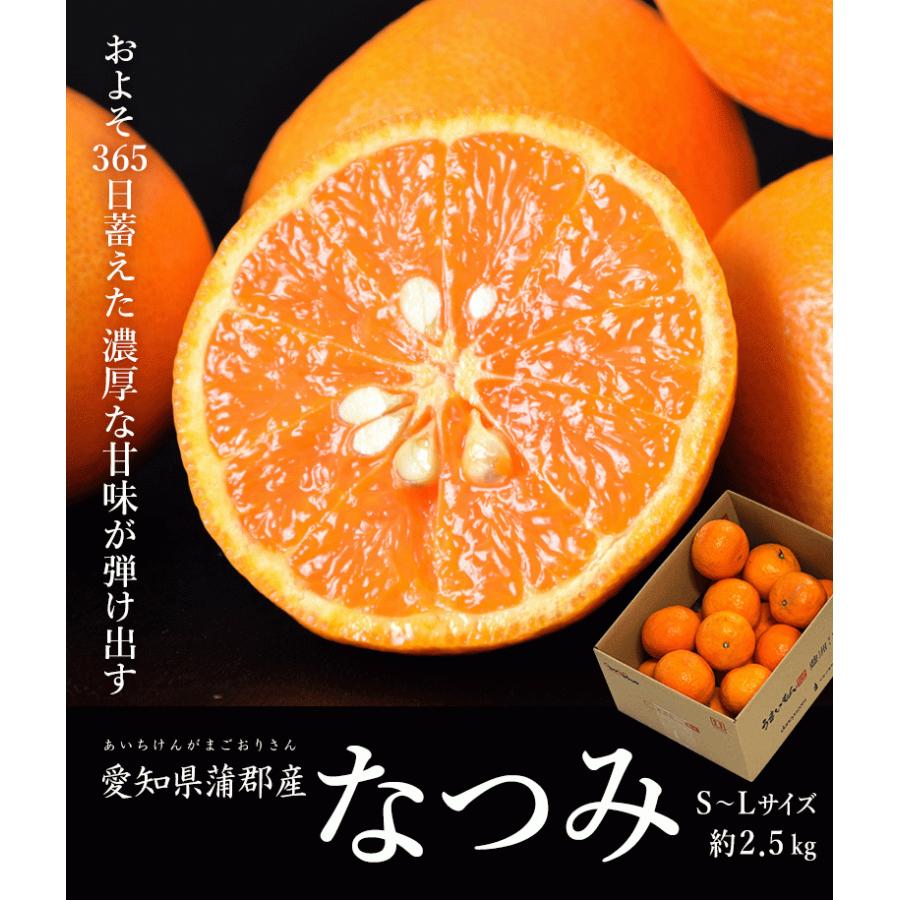 JA蒲郡市 完熟 なつみ 愛知県産 優〜秀 S〜L 約2.5kg 簡易箱 ※常温
