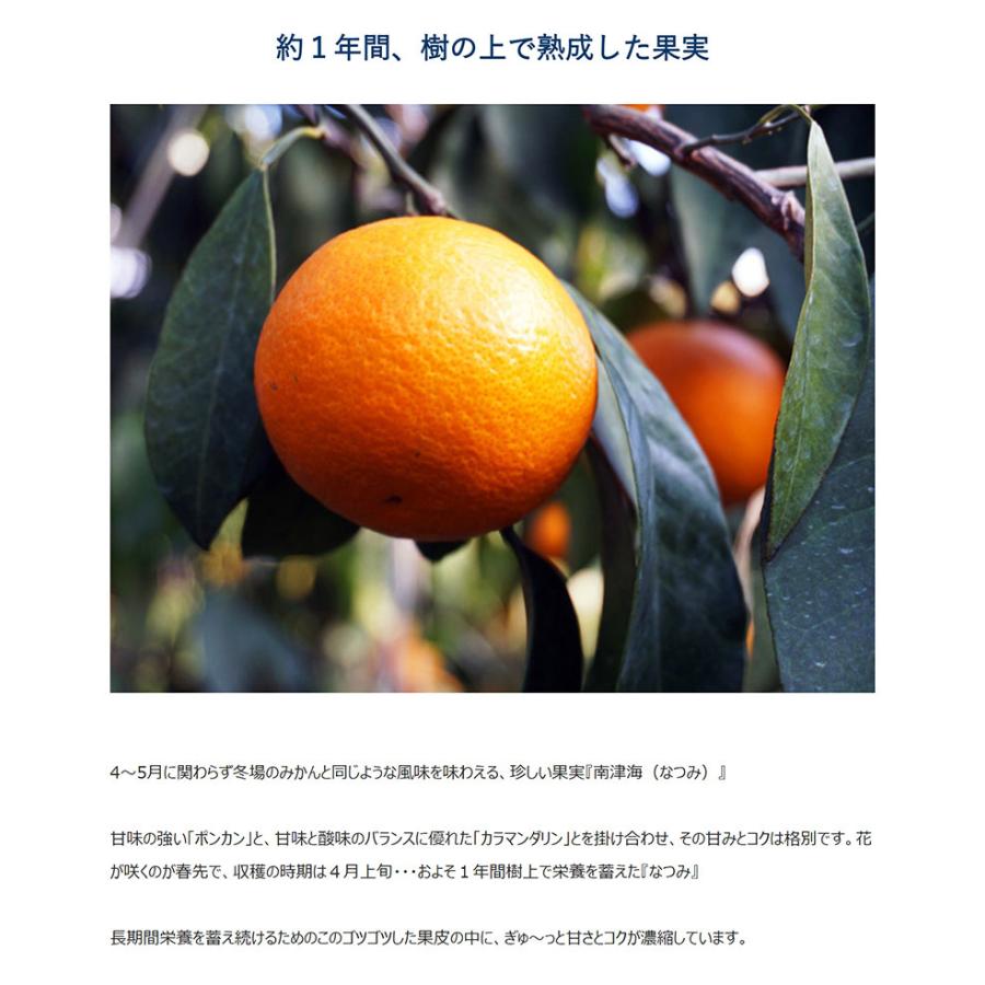JA蒲郡市 完熟 なつみ 愛知県産 優〜秀 S〜L 約2.5kg 簡易箱 ※常温