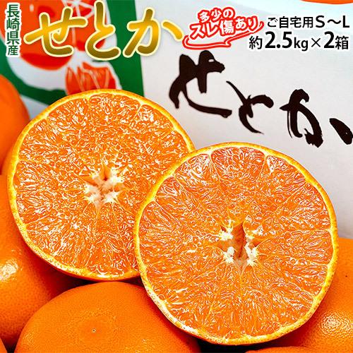 せとか 長崎県産柑橘 S〜M 約2.5kg×2箱 多少のスレ傷あり 産地箱 ※常温