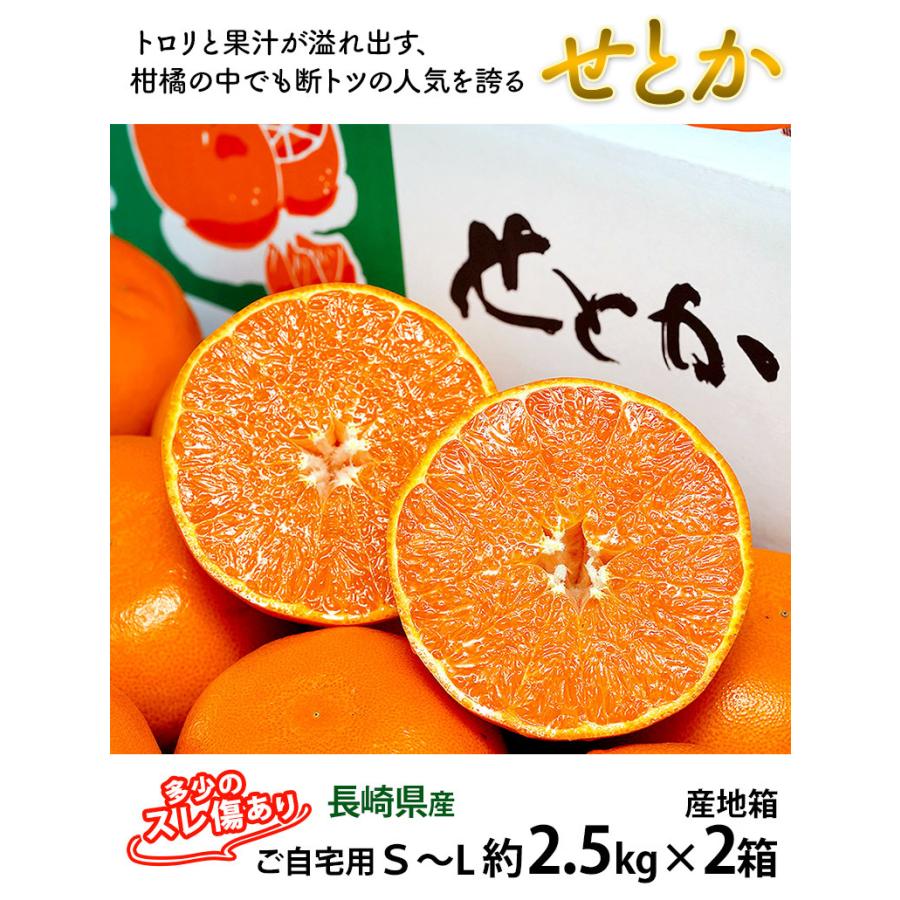 せとか 長崎県産柑橘 S〜M 約2.5kg×2箱 多少のスレ傷あり 産地箱 ※常温